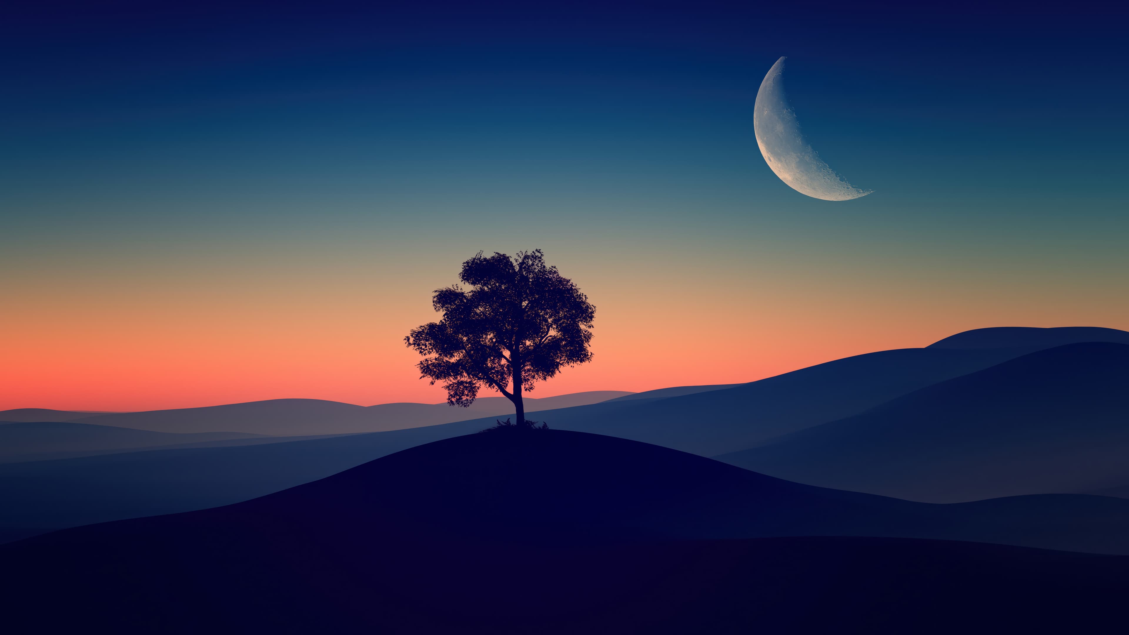 Tree Sunrise Scenery Crescent Moon Silhouette Nature 4k Wallpaper